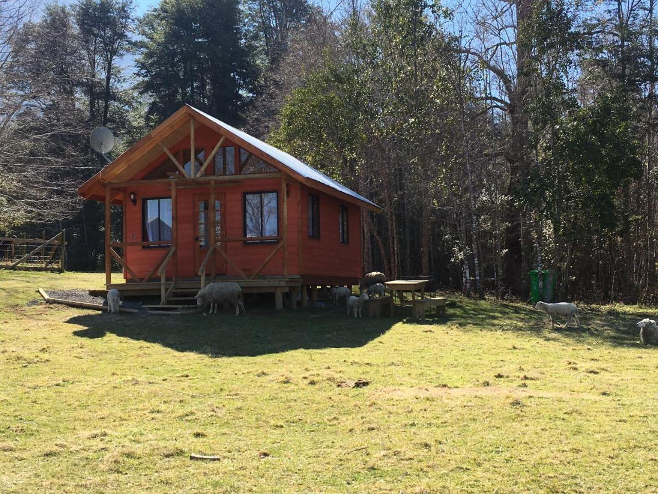 Cabanas Los Canelos Hermosa Granja En Pucón Eksteriør bilde